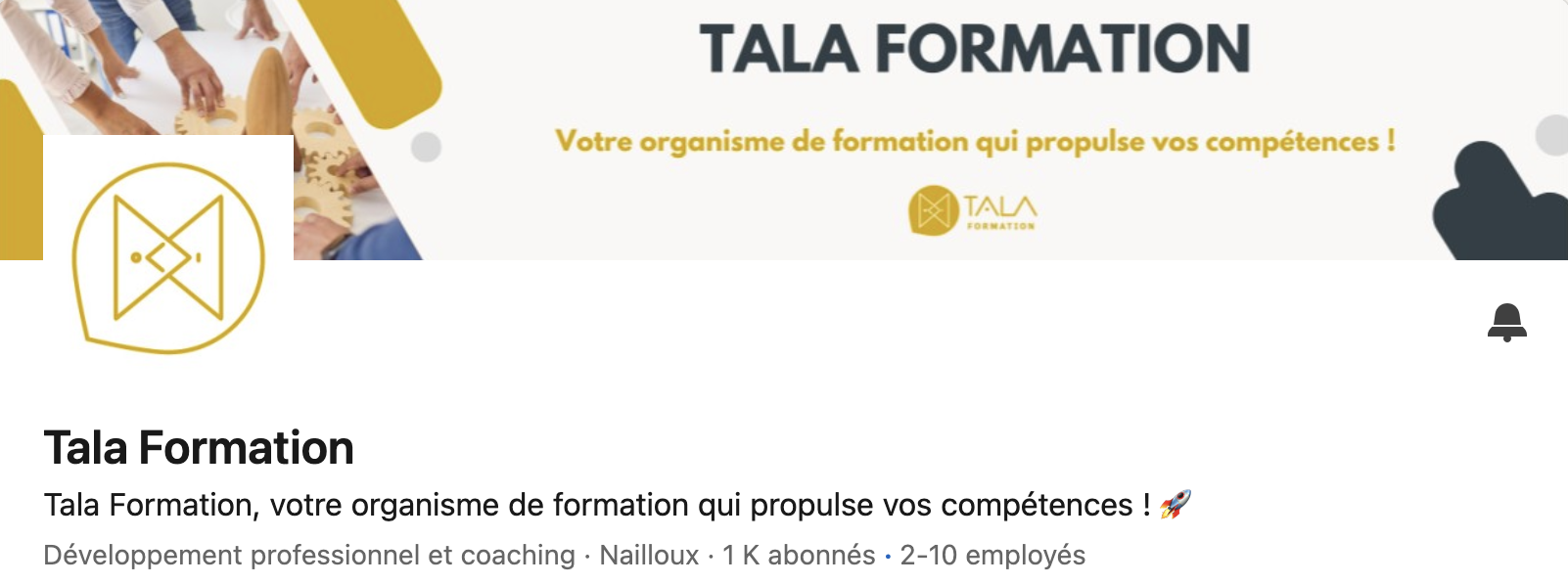 profil LinkedIn TalaFormation